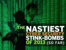 In Pictures: The nastiest cyber security stink-bombs of 2013 (so far)