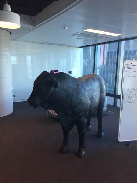 A life-sized bull to go with the agricultural technology theme